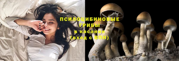 синтетический гашиш Зеленокумск
