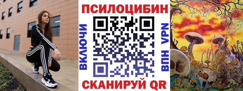 Галлюциногенные грибы мицелий  Купить где  Киренск 